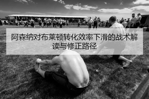 a-sen-na-dui-bu-lai-dun-zhuan-hua-xiao-lv-xia-hua-de-zhan-shu-jie-du-yu-xiu-zheng-lu-jing-2-483.jpg